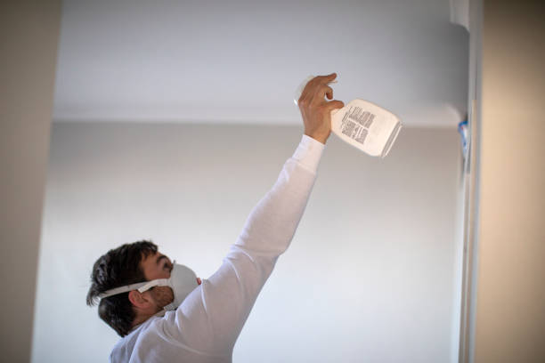 Best Mold Damage Repair  in Bedford, IA